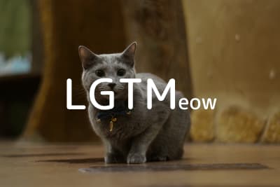 lgtm-cat-image