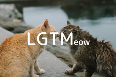 lgtm-cat-image