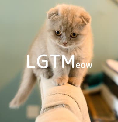 lgtm-cat-image