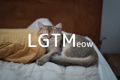 lgtm-cat-image