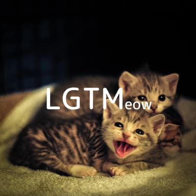lgtm-cat-image