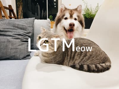 lgtm-cat-image