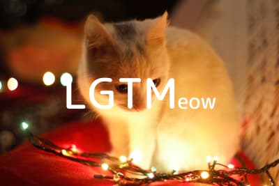 lgtm-cat-image
