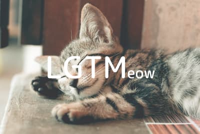 lgtm-cat-image