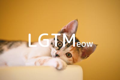 lgtm-cat-image