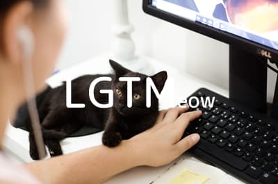 lgtm-cat-image