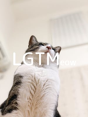 lgtm-cat-image