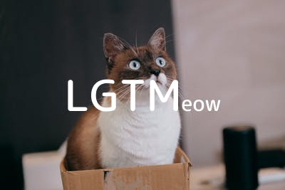 lgtm-cat-image