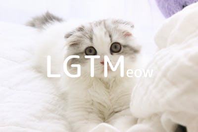 lgtm-cat-image