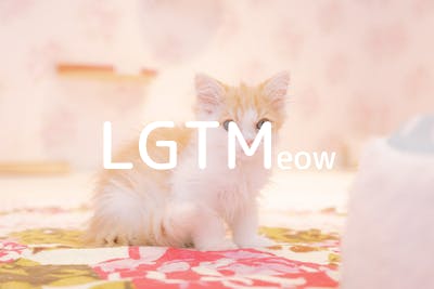 lgtm-cat-image