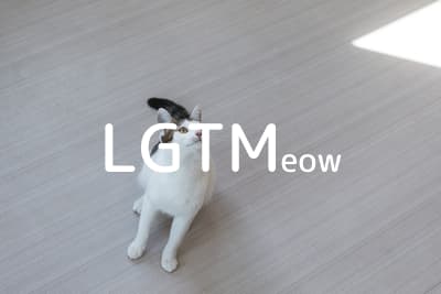 lgtm-cat-image