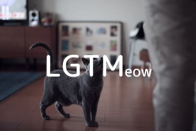 lgtm-cat-image