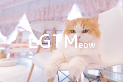 lgtm-cat-image