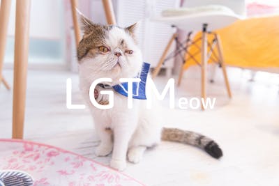 lgtm-cat-image