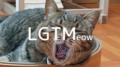 lgtm-cat-image