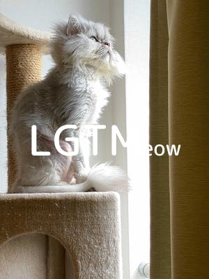 lgtm-cat-image