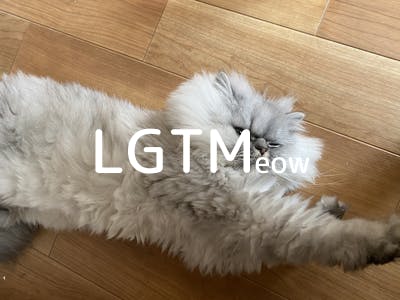 lgtm-cat-image