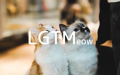 lgtm-cat-image